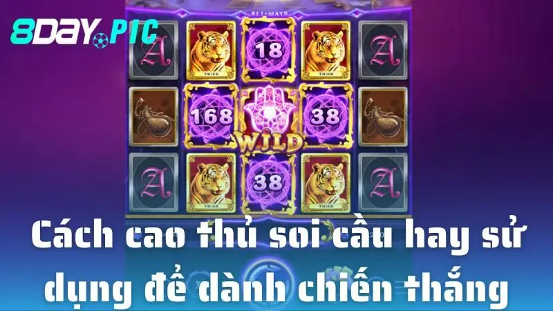 Các biểu tượng đều là bảo vật liên quan đến Pharaoh