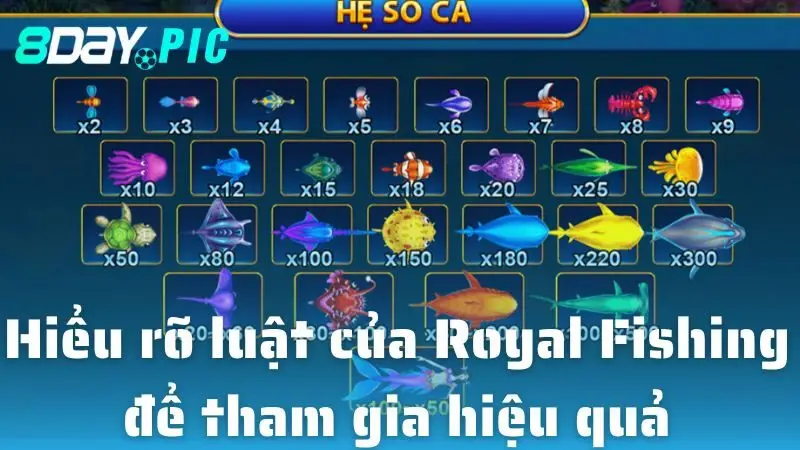 Hiểu rõ luật của Royal Fishing để tham gia hiệu quả